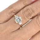 Ashoka Cut Diamond with Trapeze Illusion