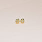 Zircon Gold Flowers Earrings