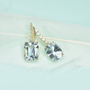 Aqua Climber Earrings