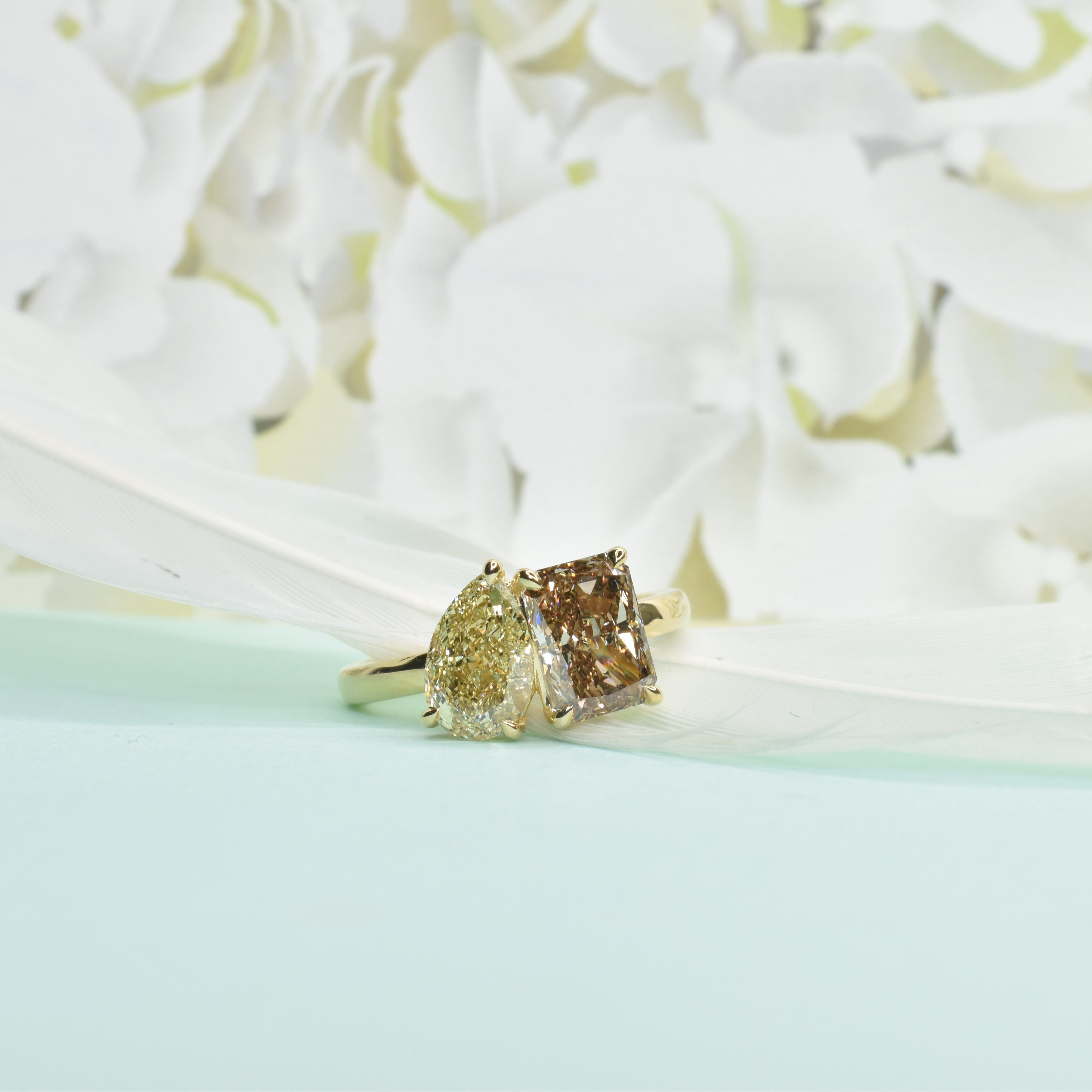 Toi Et Moi Ring with Fancy Colour Diamonds