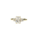 Ashoka Cut Diamond with Trapeze Illusion