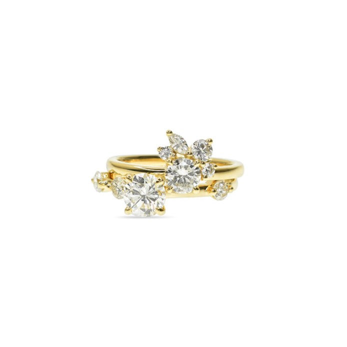 Dual Rings