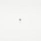 Star Threaded Stud Earring