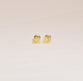 Golden Elephant Earrings