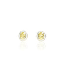 Fancy Yellow Diamond Earrings with Enamel