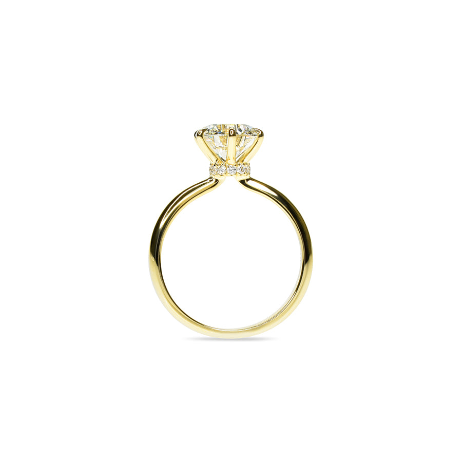 Round Diamond Ring with A Special Halo